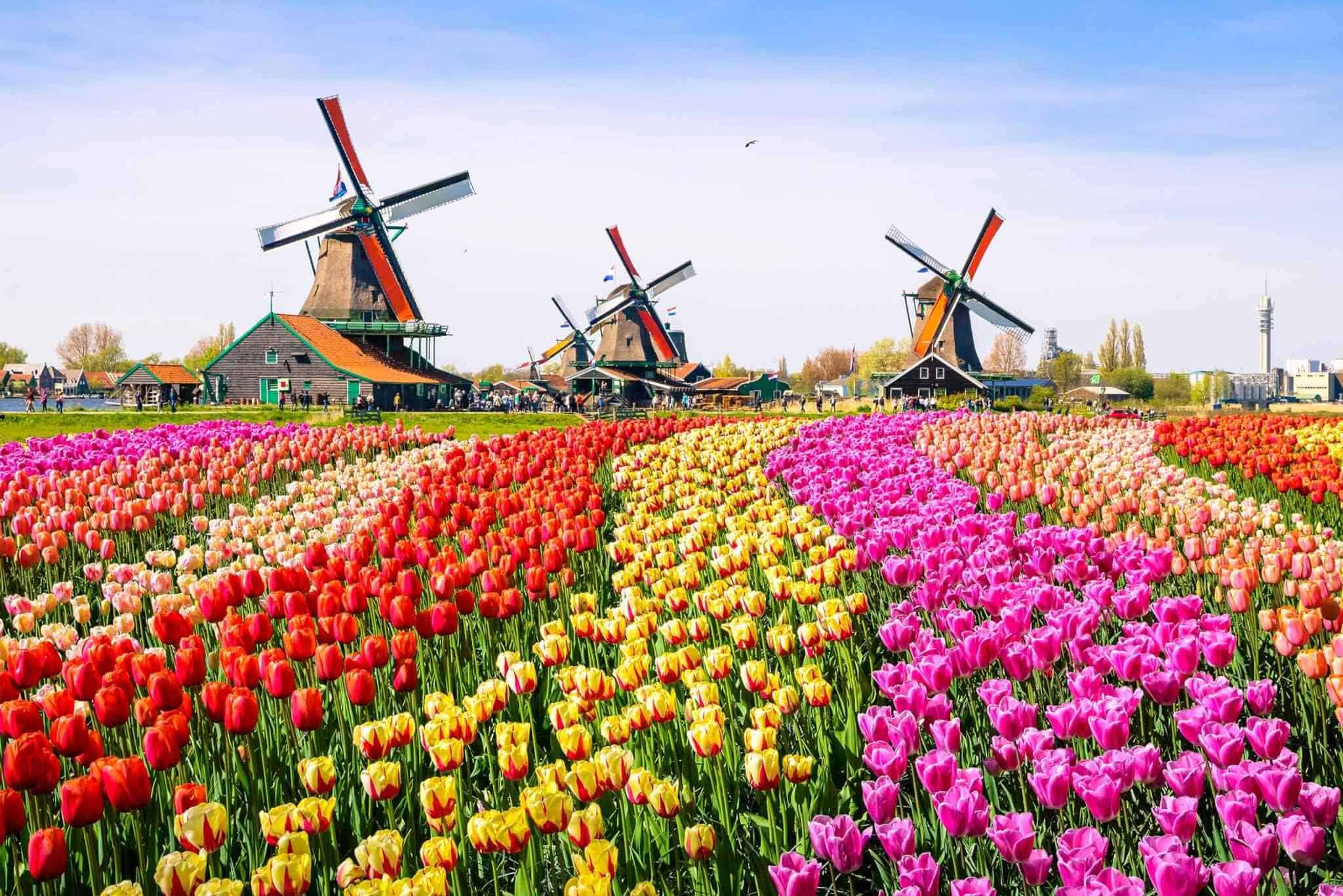 Destination Netherlands